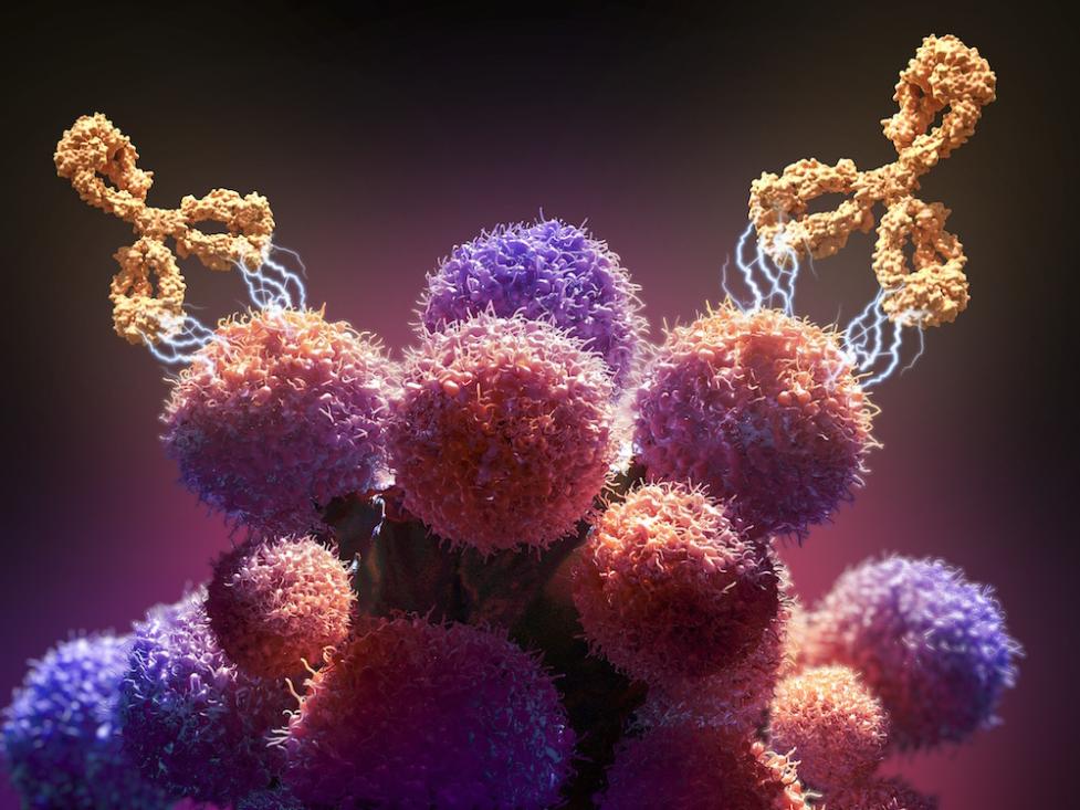 What are the latest advancements in Immunotherapy?